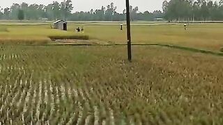 amader muskan monir facebook world a video.