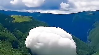 Beautiful world