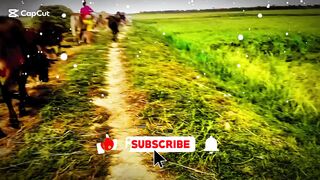 carame video