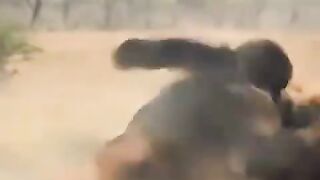 video35