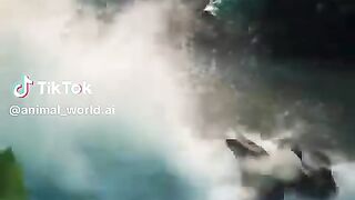video36