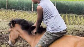 Master Rahi is taking horse riding training