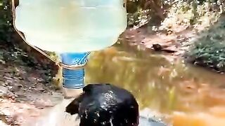 #FunVideo