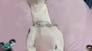 Anjing Core