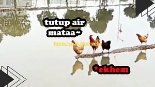 ???? Ayamnya bukan cuma berkokok, tapi curhat juga! Dubbing kali ini bikin ngakak nggak berhenti! ????????