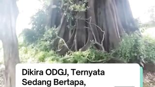 BERITA VIRAL