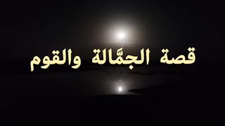 ( ١١ )  قصة الجمَّالة وقطاعين الطرق