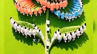 Online earnings 2025