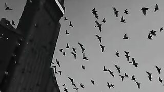 Love this video