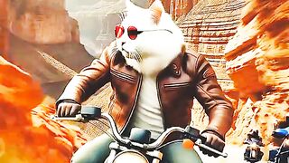 Cat best moments
