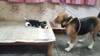 Funny