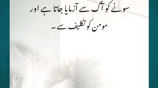 Islamic Information Quotes #quotes #islamicknowledge #hazratali #islamicstudies #love #bestquotes