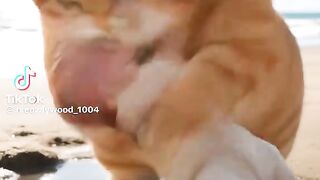 Children best video