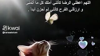 اللهم أمين يارب العالمين