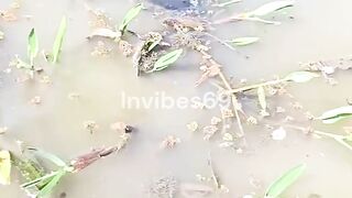 Fishing By Hand