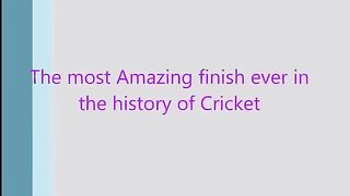Amazing Cricket