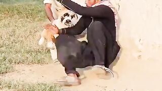 Funny video