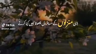 Safar