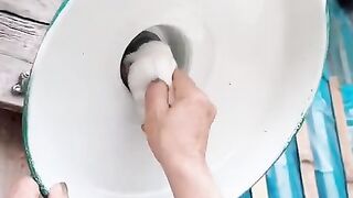 #FunVideo