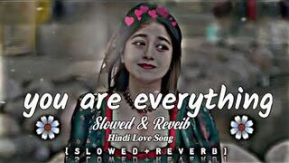 You Are Everything Hindi Love Song (Slowed + Reverb) love song new