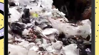 Lagi rame apa sih hari ini?