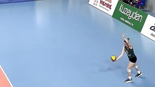Your Viewing Pleasure Volleyball_2025