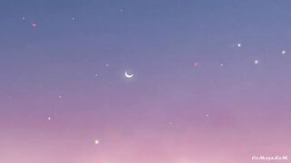 Moonshine S1 Ep10  Hindi