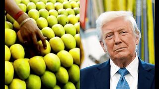 Trump's America also rejected Indian mangoes