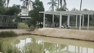 Kolam tanah luas seperti sangat cocok untuk pembesaran lele sistem jaring keramba
