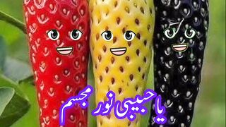 Islamic video