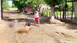 Funny dog