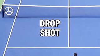 Dimitrov hits INCREDIBLE .2025