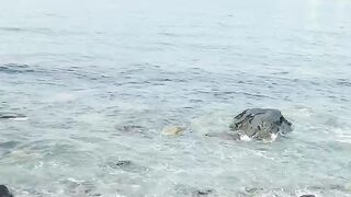 Korean sea