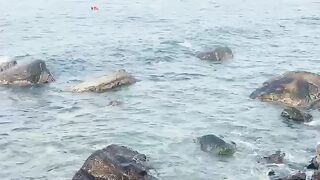 Korean sea