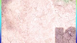 Mango chutney recipe