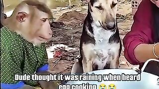 They are so innocent ????????