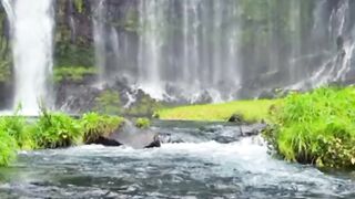 সুন্দর একটা লেক ঝর্না