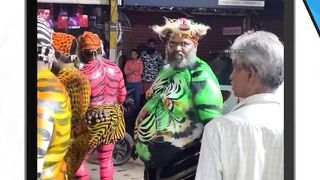 harimau harimau