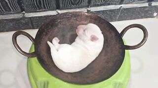 WATCH TILL END????????