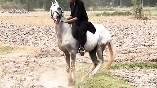 Good nice video