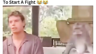 Watch till end????????