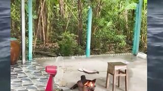 video lucu