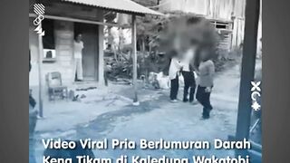 Video Viral Pria Berlumuran Darah Kena Tikam di Kaledupa Wakatobi, Masih Bisa Berjalan dan Berteriak