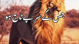 Attitude poetry, inspirational, emotional poetry