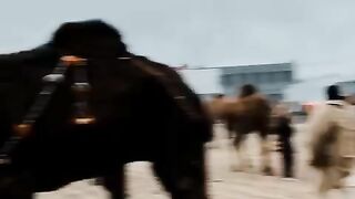 Enjoyment video