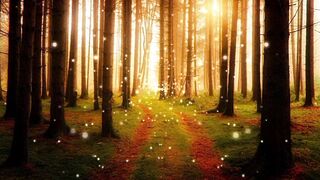 So beautiful background music