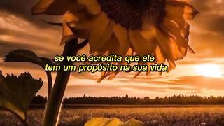 Motivaçaodiaria