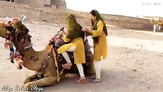 Max Sindhi song 2023