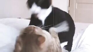 Couple Goal very funny video 2023