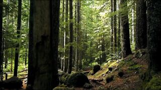 Heart and mind freshing very beautifull clip